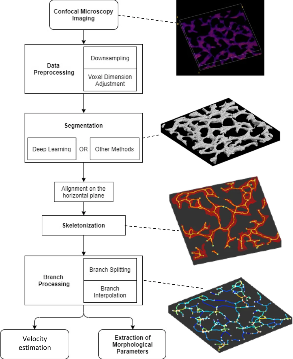 muVES, Figure 3