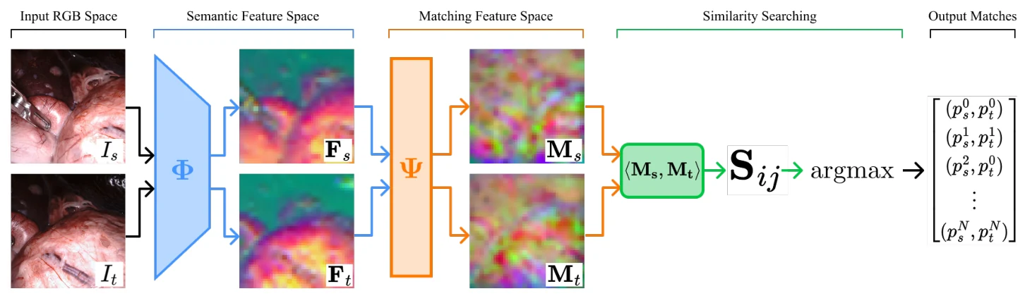 SCALE-EM, Figure 1
