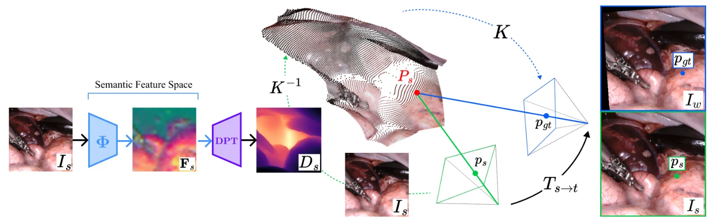 SCALE-EM, Figure 2